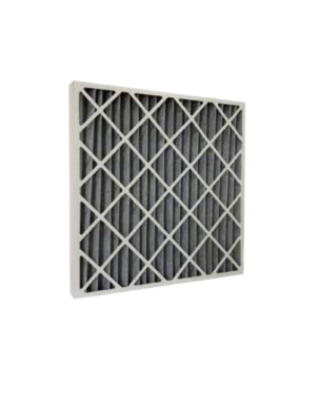 Carbon Pleated Filter